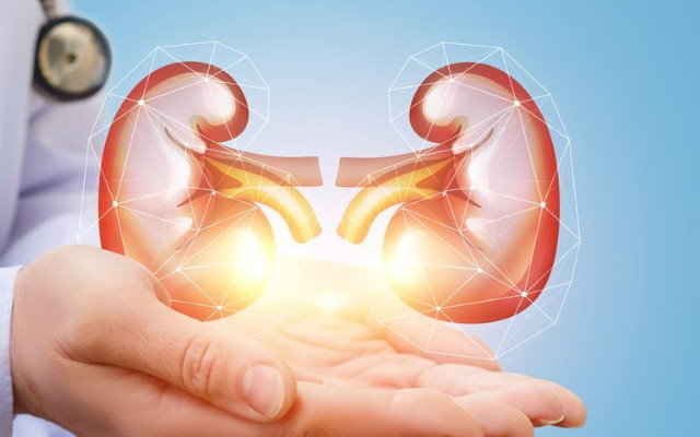 KIDNEY TRANSPLANT