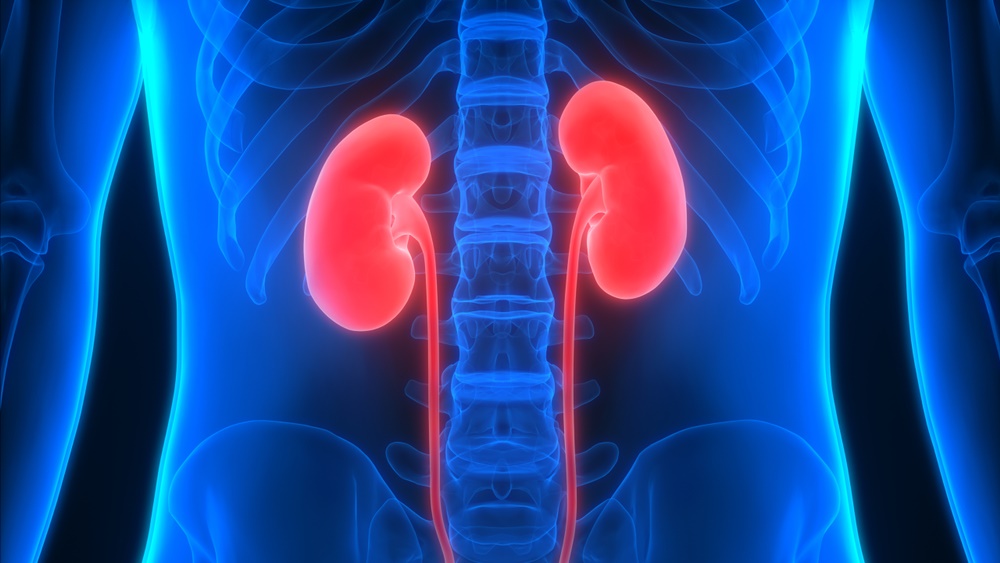 DONATE KIDNEY FOR CASH